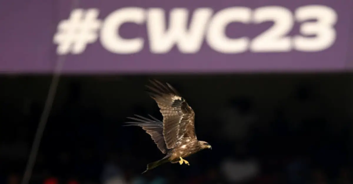 ICC Ends Ban on Sri Lanka Cricket